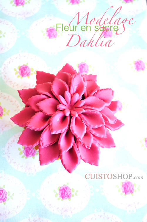 Comment réaliser une fleur Dahlia en pâte à sucre