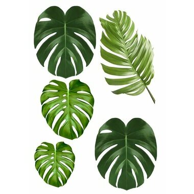 Feuille en sucre feuilles tropicales